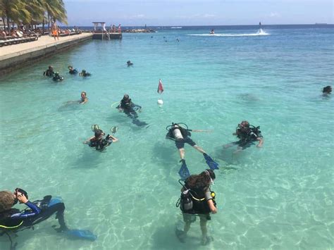 curacao diving reviews|Scuba Diving in Curaçao: What You need to Know to Dive Curaçao.